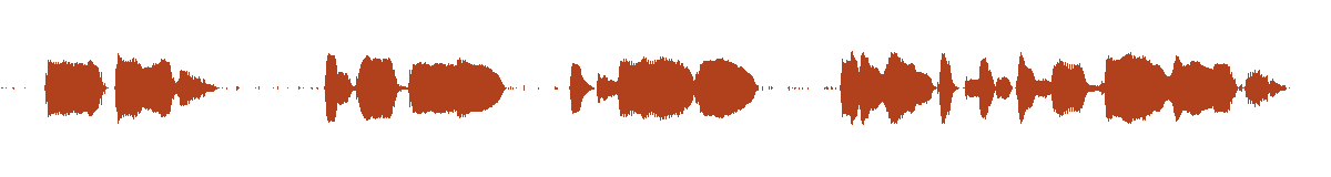Willow audio waveform